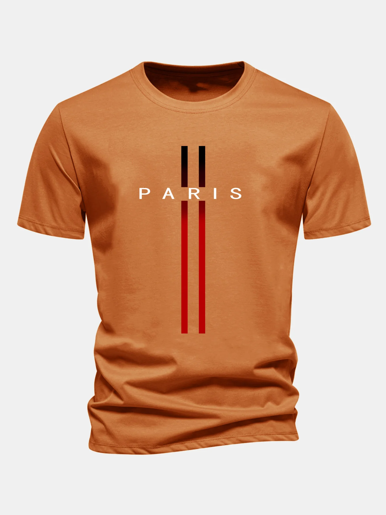 Regular Fit Stripe Paris Print Cotton T-Shirt - Image 6