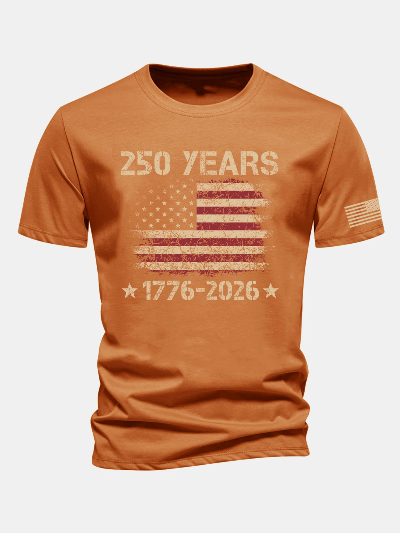 Regular Fit USA 250th Anniversary Print Cotton T-Shirt - Image 13
