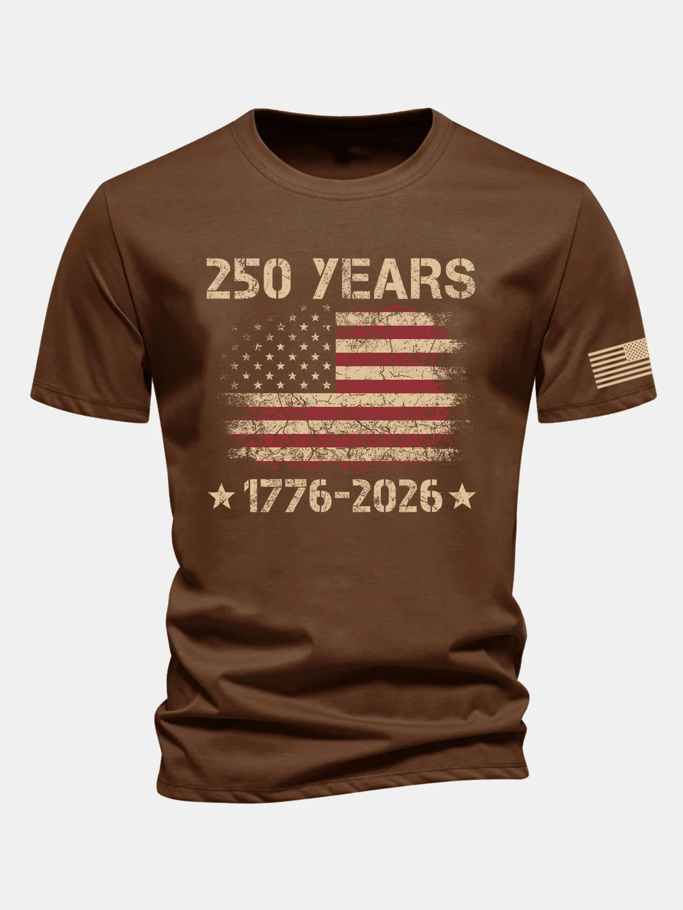 Regular Fit USA 250th Anniversary Print Cotton T-Shirt - Image 5