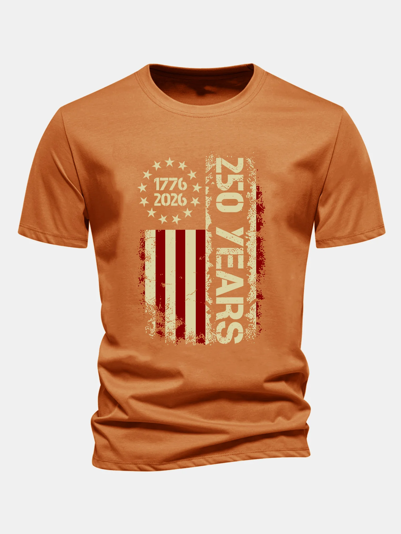 Regular Fit USA 250th Anniversary Vintage Print Cotton T-Shirt - Image 12