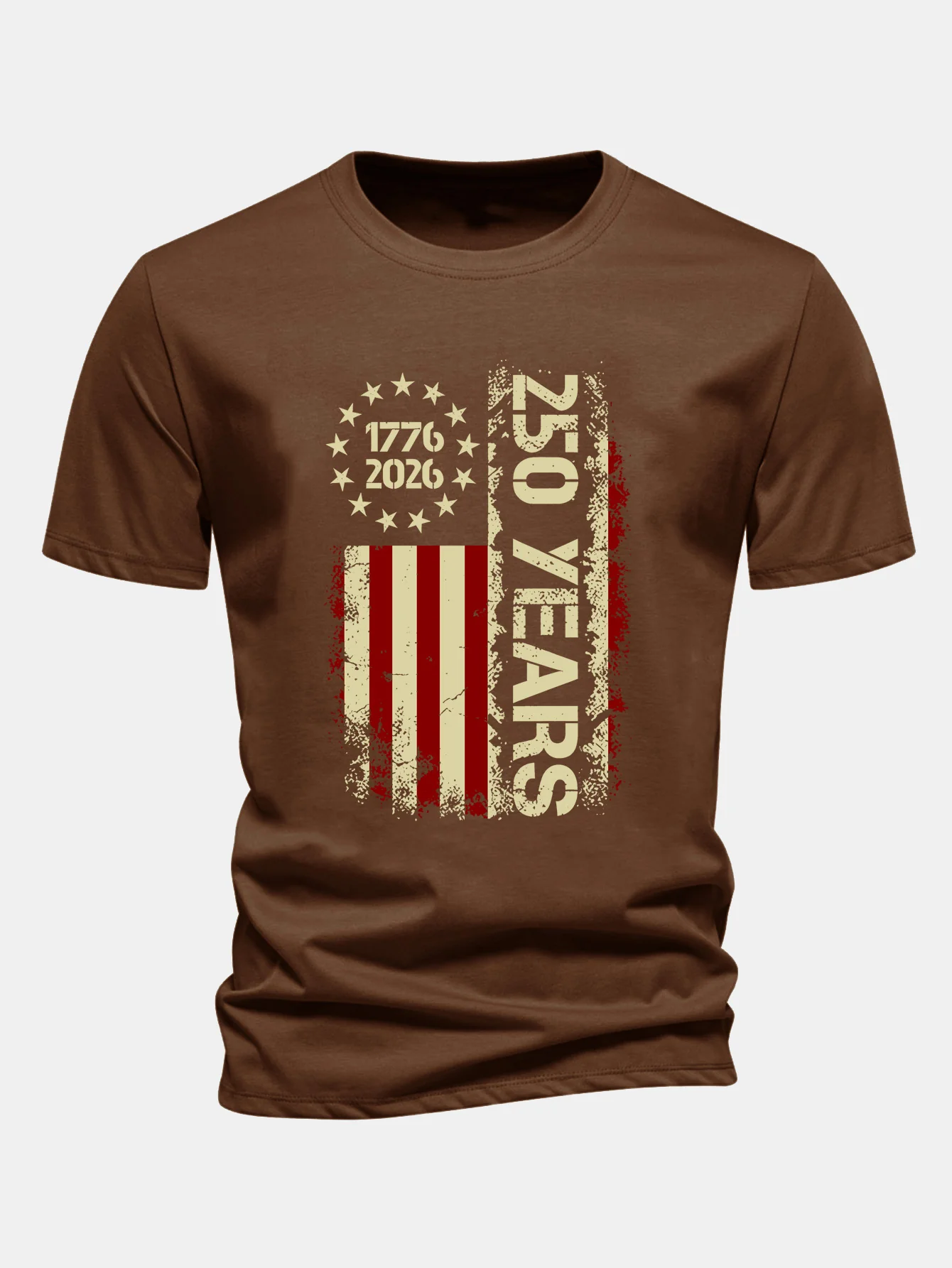 Regular Fit USA 250th Anniversary Vintage Print Cotton T-Shirt - Image 4