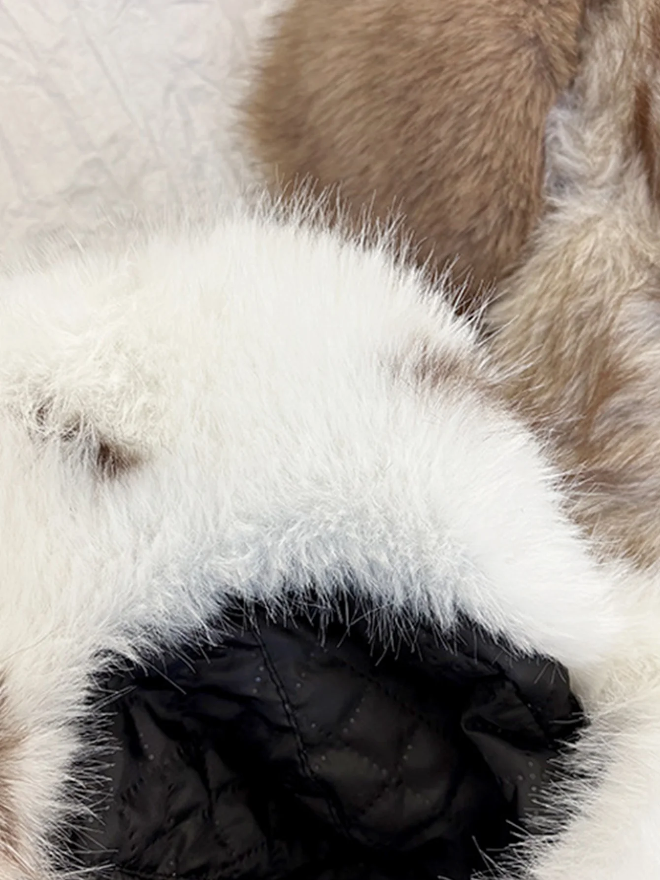 Retro Style Warm Baseball Cap With Fluffy Rabbit Ears Design - Image 5